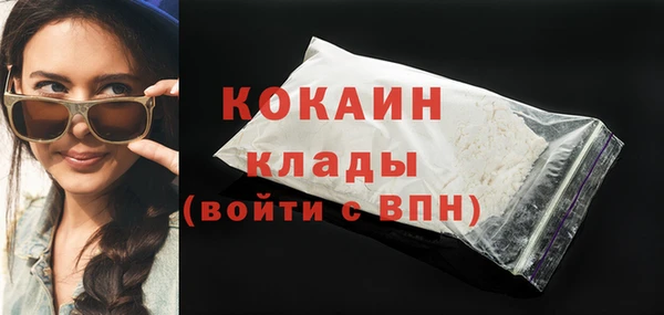 прущий лед Алзамай