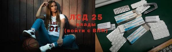 прущий лед Алзамай