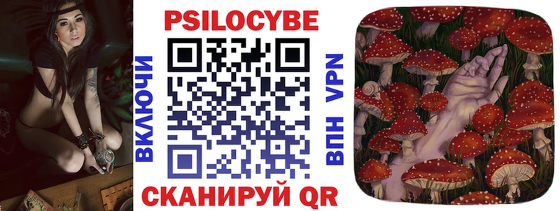 Галлюциногенные грибы Psilocybe где купить гидра ссылки даркнет формула Макушино