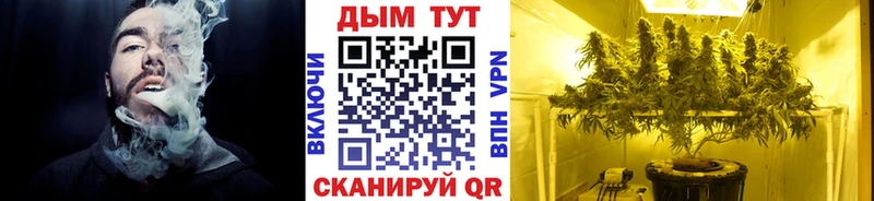 Каннабис план Макушино